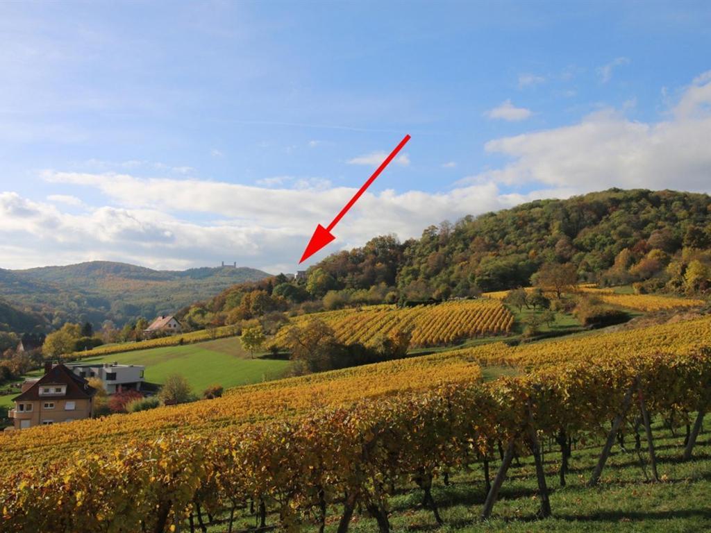 Alsace Panorama Villa Barr Eksteriør billede