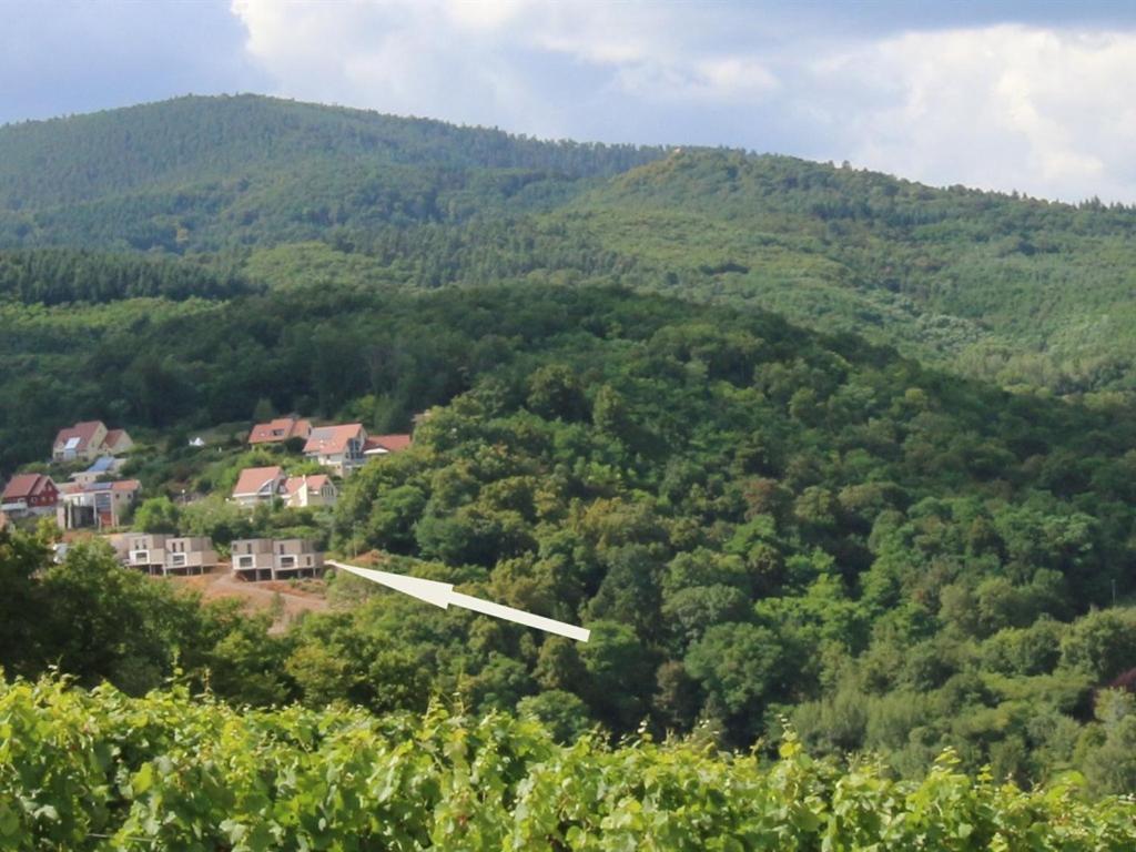 Alsace Panorama Villa Barr Eksteriør billede