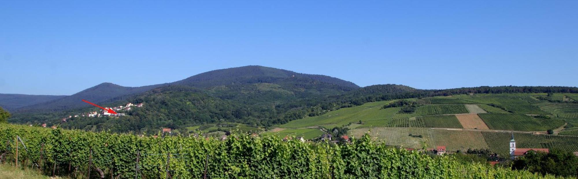 Alsace Panorama Villa Barr Eksteriør billede