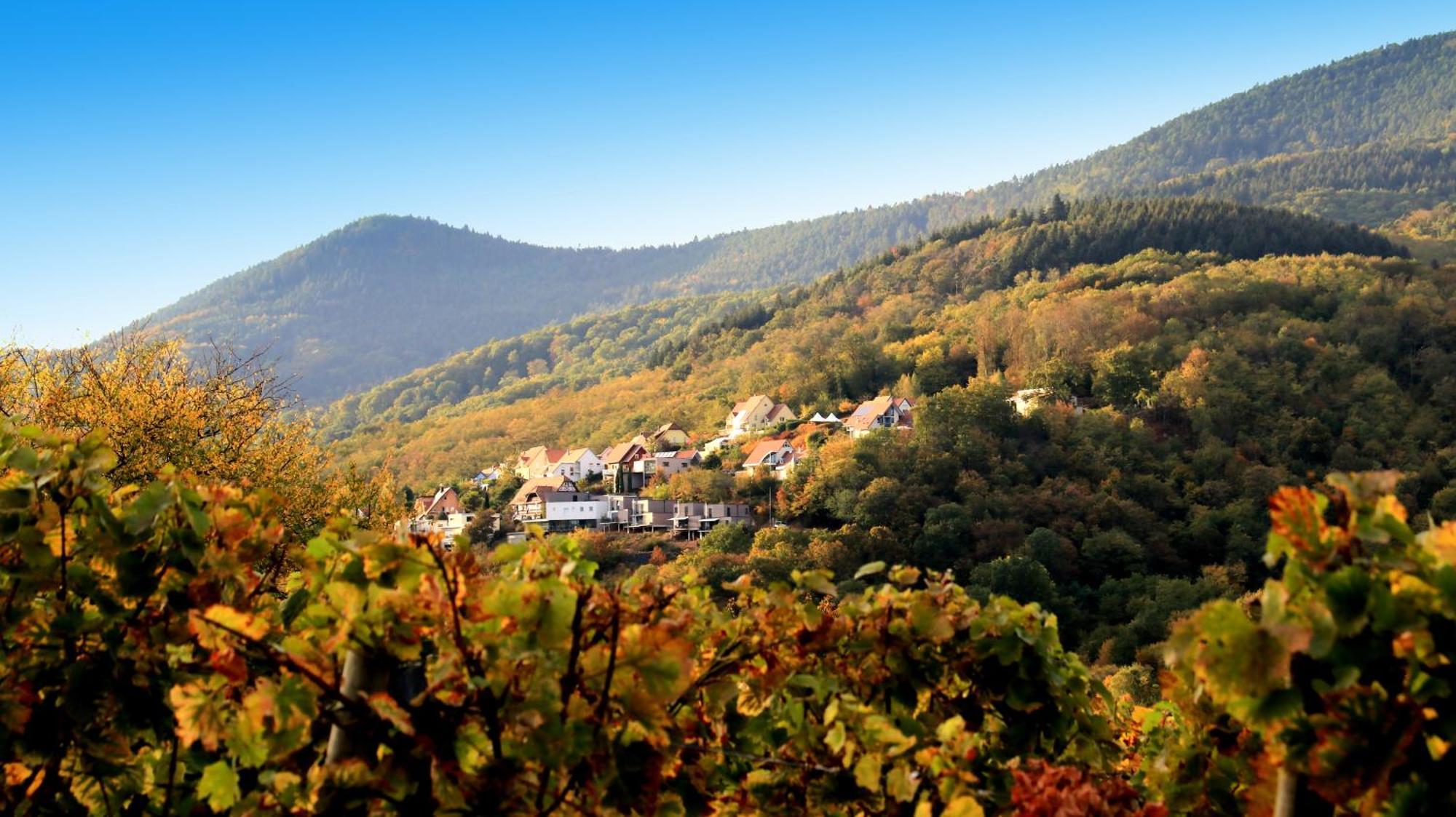 Alsace Panorama Villa Barr Eksteriør billede