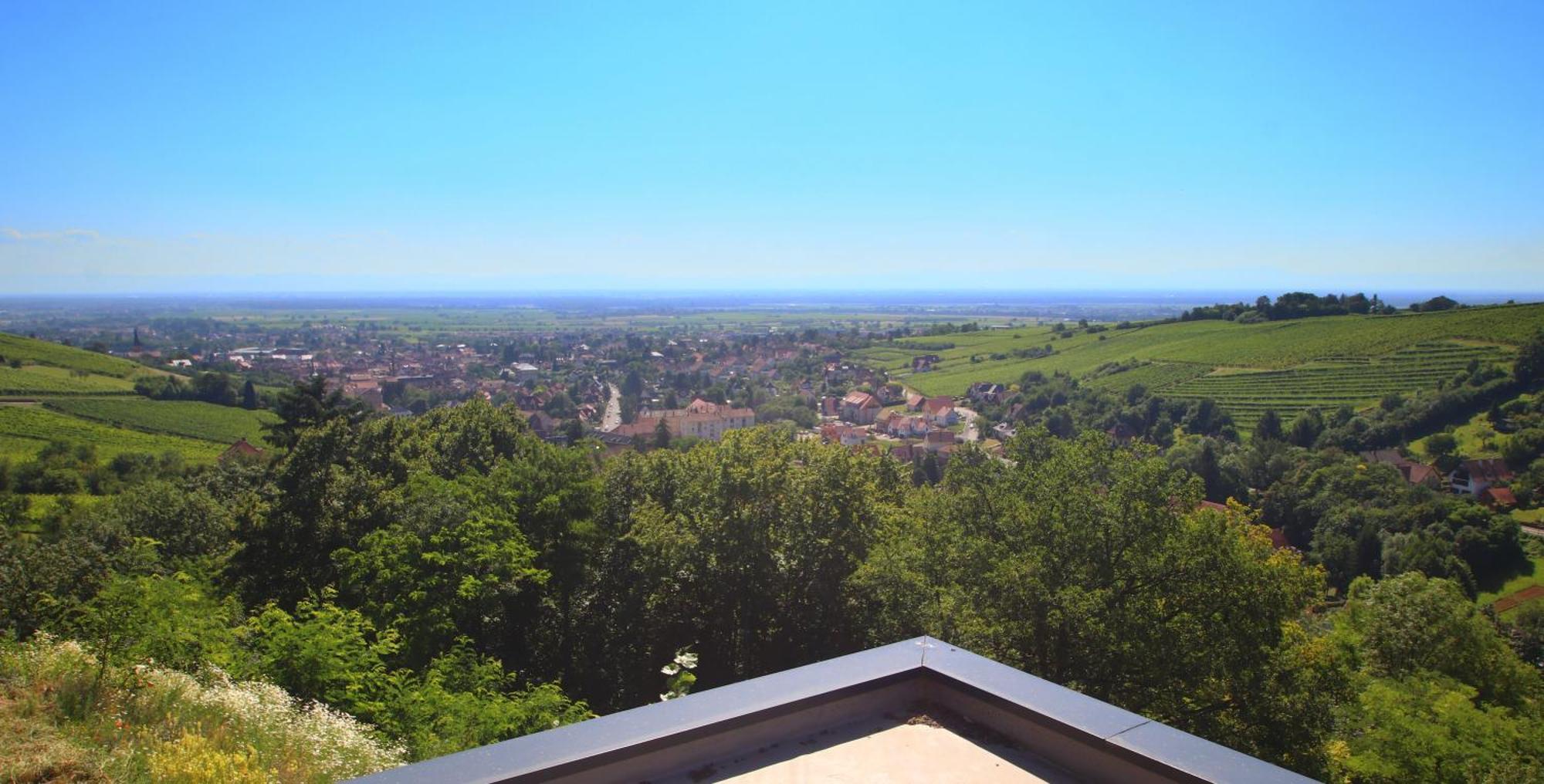 Alsace Panorama Villa Barr Eksteriør billede