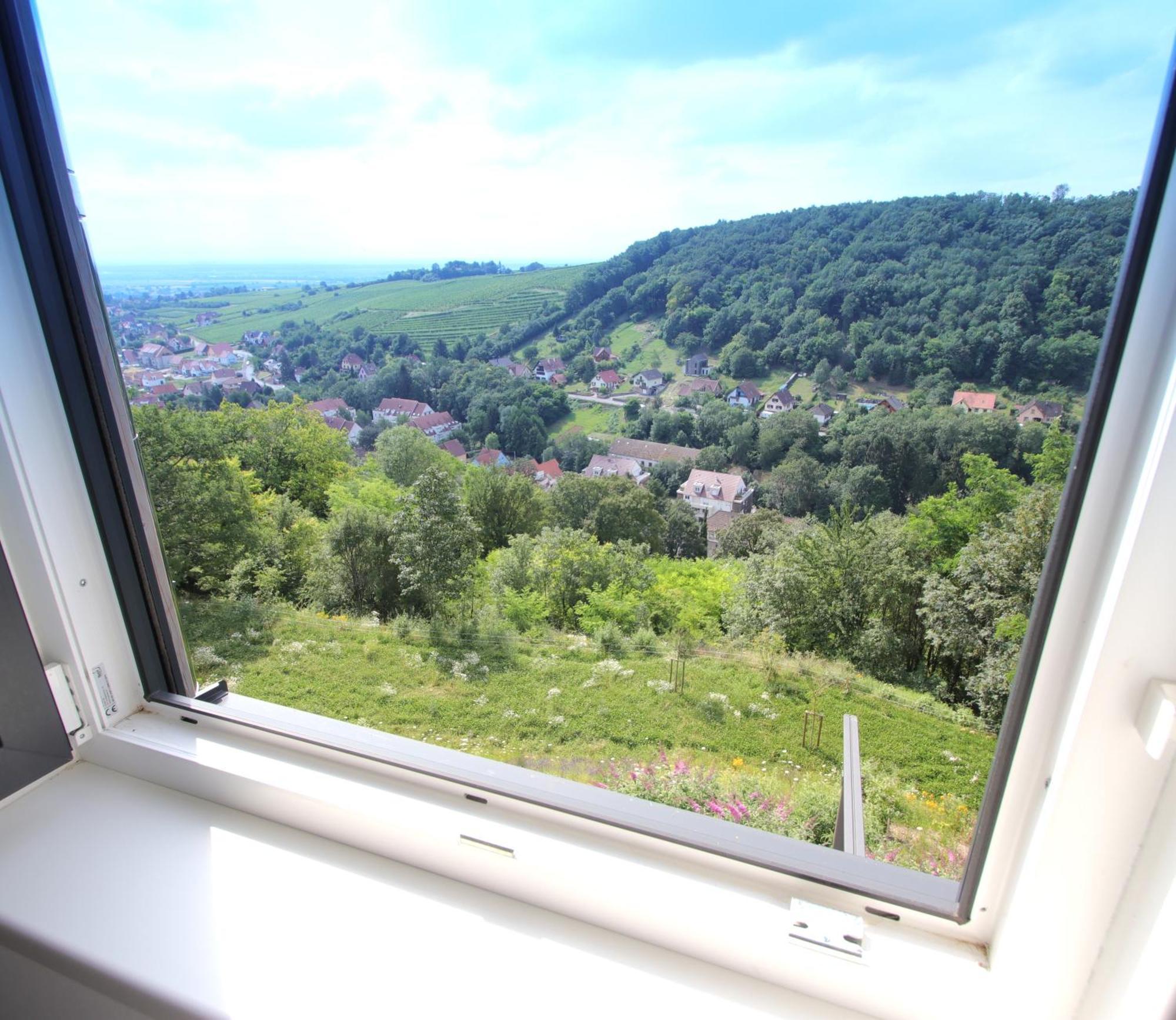 Alsace Panorama Villa Barr Eksteriør billede